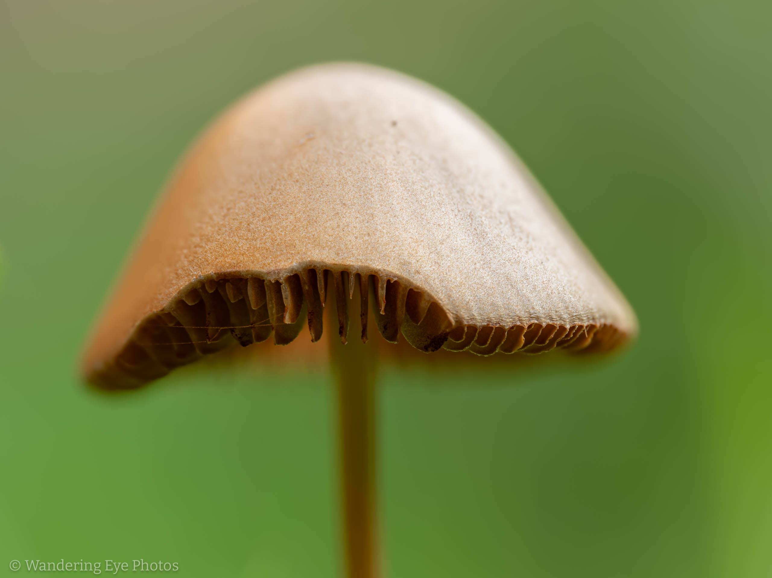 2025 10 17 16 57 58 (A,R8,S4)